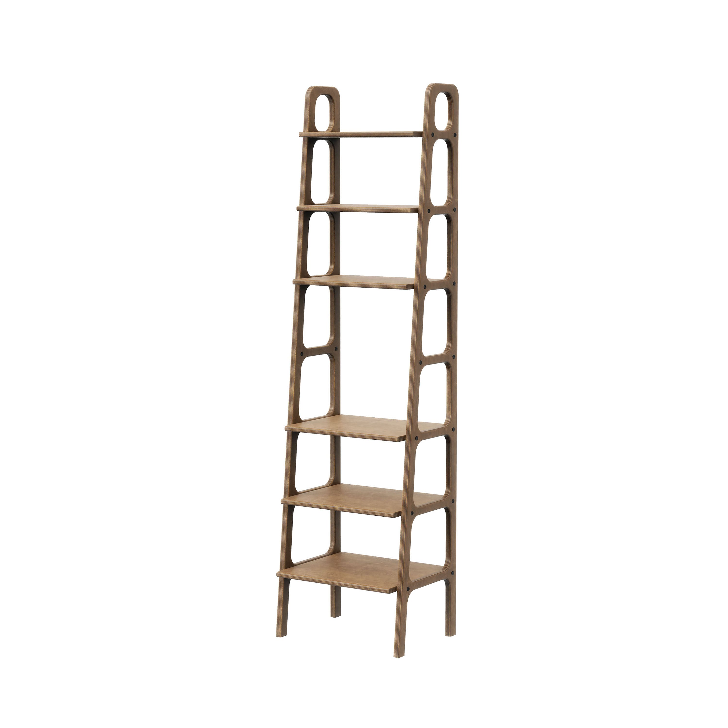 Waxed deals Ladder Bookshelf